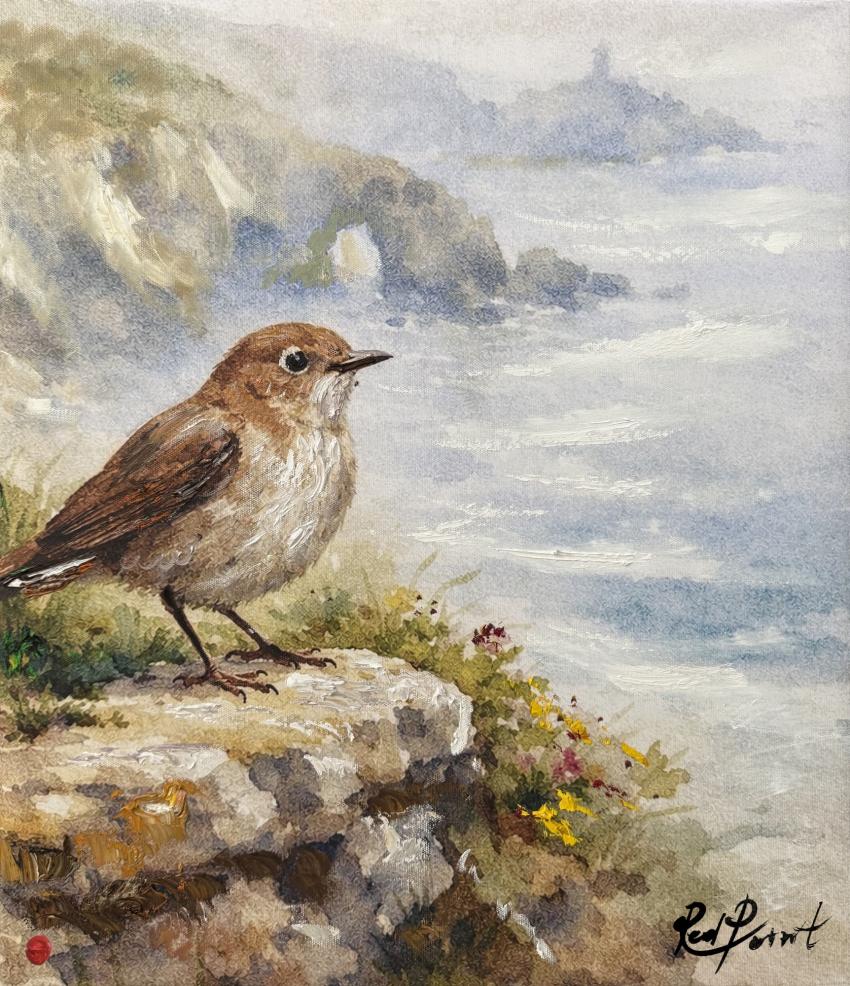 Birds of Britain IV