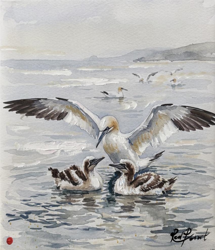 Birds of Britain IX