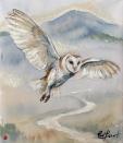 Birds of Britain X