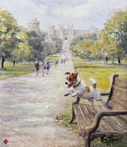 Dogs around the World VI