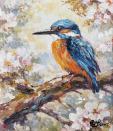 Birds of Britain VI