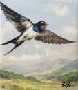 Birds of Britain I