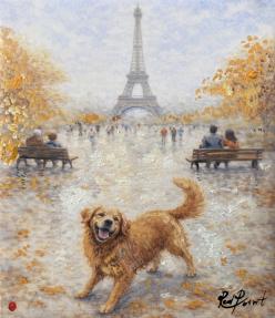 Dogs around the World XI